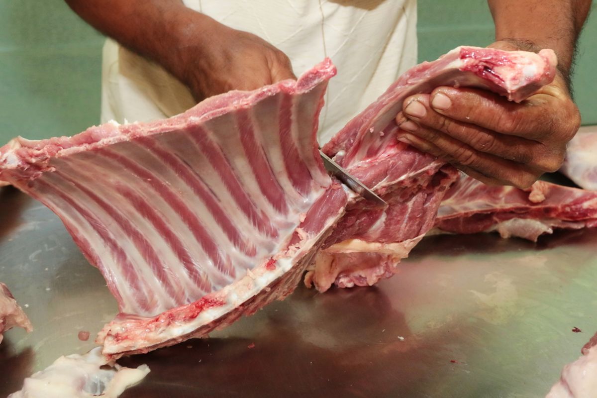 Benarkah Tulang Kambing Aqiqah Tidak Boleh Dipatahkan?