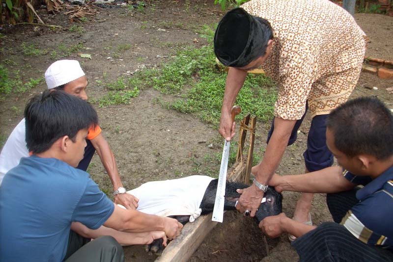 Panduan Membaca Doa Menyembelih Hewan Aqiqah Sesuai Sunnah